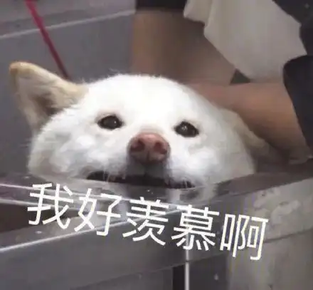 测试一个超长简介的文章