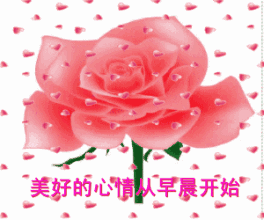 早上好,史上最全的早上好表情图片送给你请查收