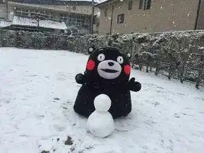 下雪了陶醉的表情包分享,关于下雪好玩的表情包