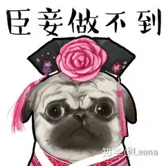 2020年双十一计算机专业笔记本电脑推荐科普