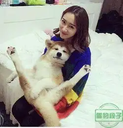 roboo段子随时随地分享你身边的幽默搞笑段子roboorooboroobooroborubao