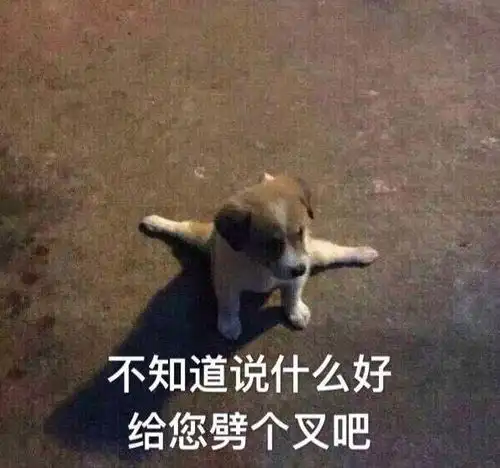 不想做饭表情包图片