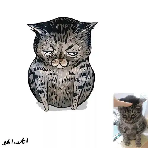 笑趴了画风极酸爽的灵魂画手,把你家猫画成超搞笑表情包