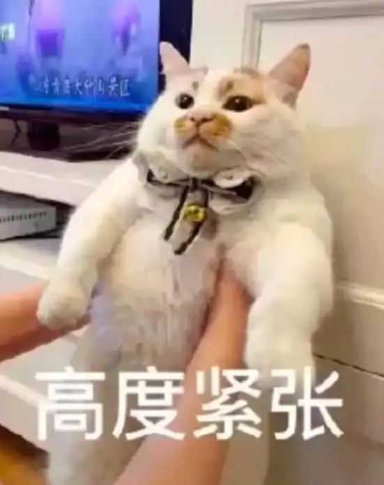 sufe学术丨您有一封来自贴心学姐的讲座邀请函