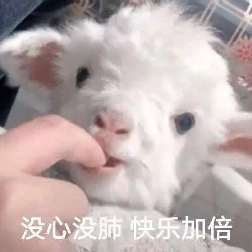 激动我竟然进了第二轮管理员候选了