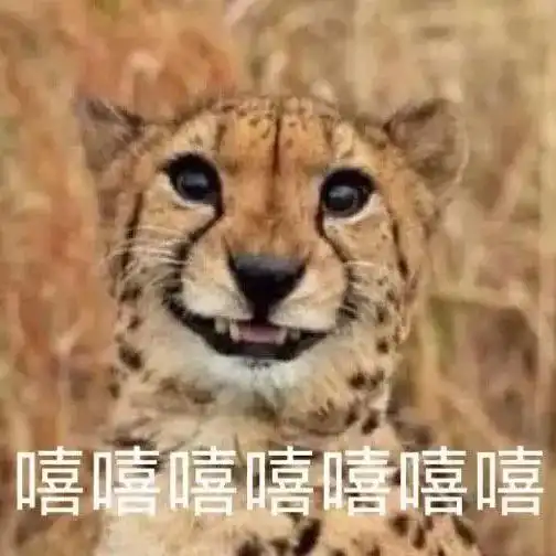 搞笑动物的表情包你走吧