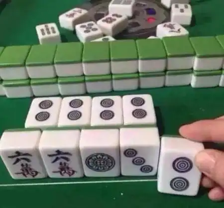 每日一逗我自摸了,但我不敢胡牌