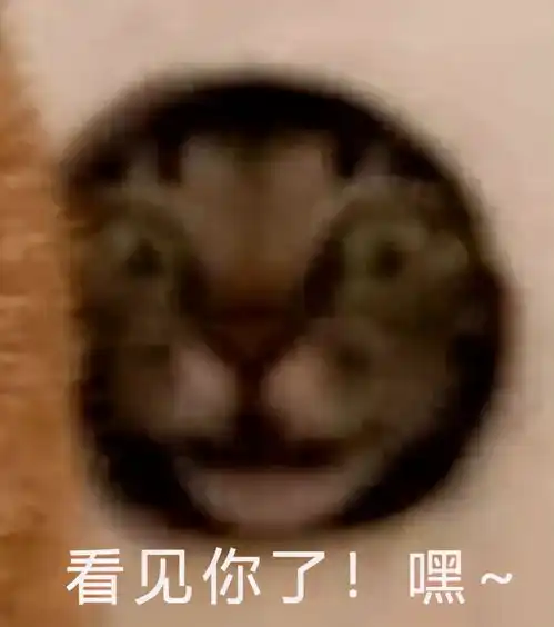对面开来一辆卡车,狗和猫不同的反应太搞笑了,狗生死已看淡