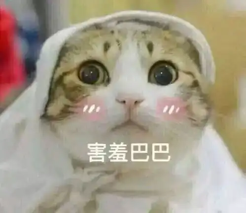 收藏夹