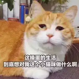 职场里最恶心人的几类人,你遇到过吗