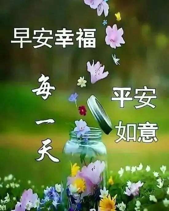 早晨安好送去我诚挚的祝愿愿你身体好,健康平安心情好,早安