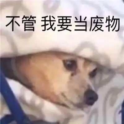 一些关于我的精准描述表情包我是废物表情包