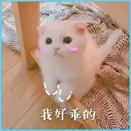搞笑图片幽默段子小仙女专用表情包,你值得拥有腾讯新闻
