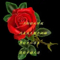 一声问候,代表无数个祝福祝福朋友图片qq表