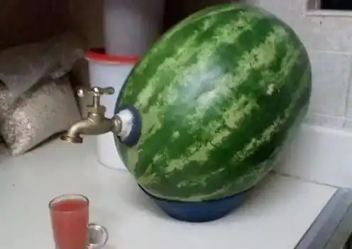 自制的榨汁机