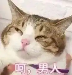 虽然我长得丑,但你用我来辟邪就是你的不对了