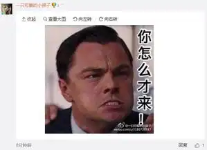 小李子终于开了微博,却要被中国网友气哭了