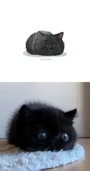 表情包已做好,来见识下互联网热传的30只搞笑猫咪