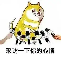 叮咚请查收七夕专属表情包孤寡青蛙和布谷鸟已到达战场......
