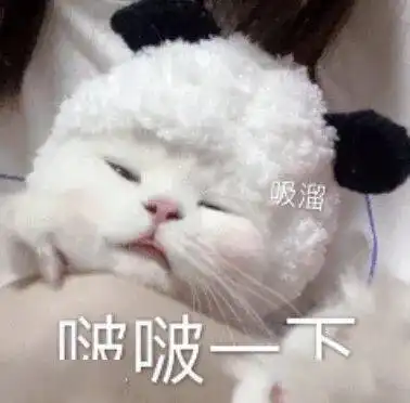 抖音搞笑表情包动图