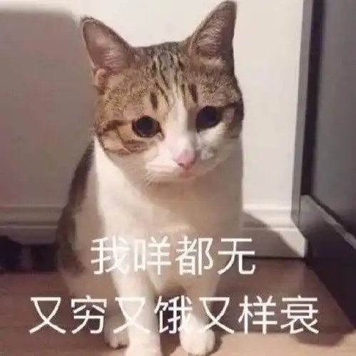 测试一个超长简介的文章