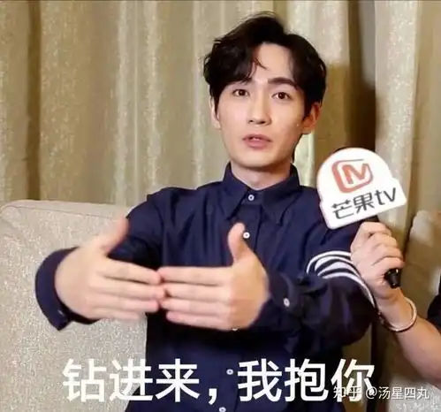 你好,可以用朱一龙的表情包砸死我吗