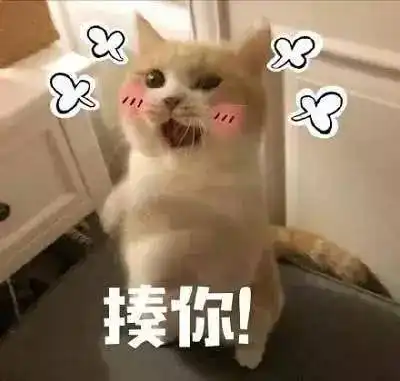 萌系表情包搞笑的小猫咪成为了表情包