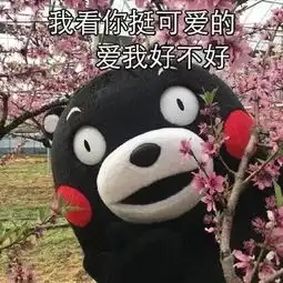 搞笑表情包我看你挺可爱的爱我好不好