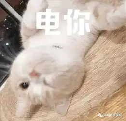 唇间吐珠玉,声中藏乾坤记配音系人才培养