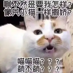 年度表情包大赏小猪佩奇,假笑boy,边缘试探.你最爱