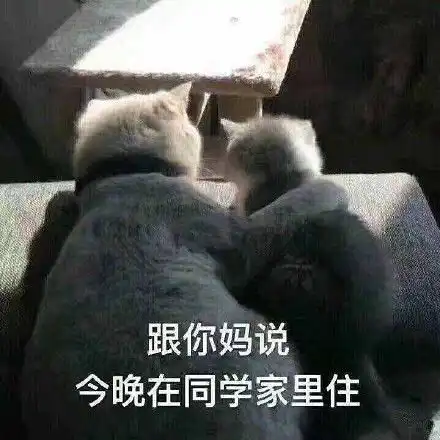 搞笑表情包我闭眼了沙雕
