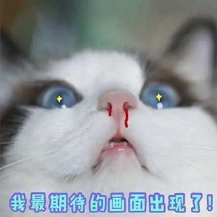 测试一个超长简介的文章