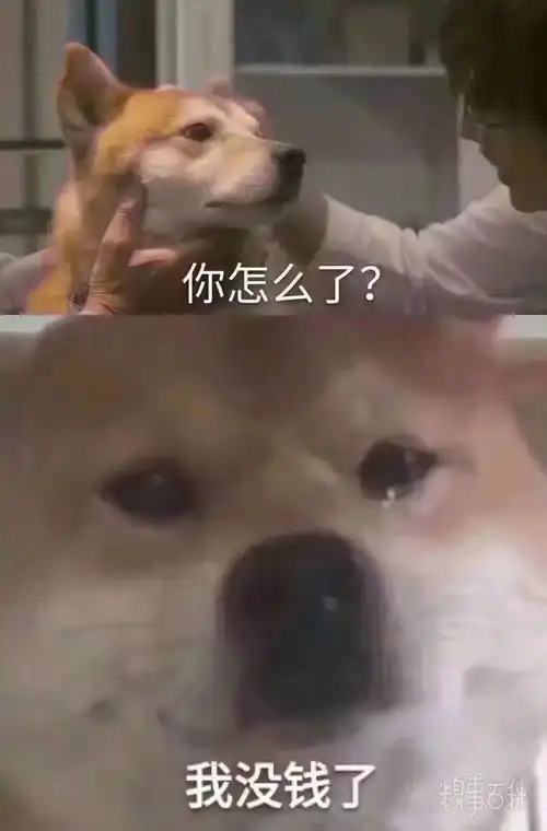测试一个超长简介的文章
