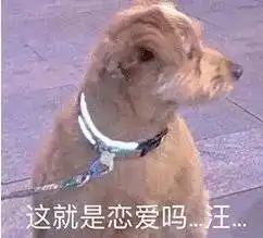 表情包我被针对了