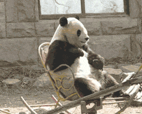 姑娘咱能不能注意点啊,穿短裤跨栏杆真不好,我都不好意思说你了