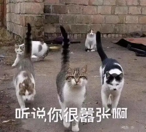 美人计的勒索遭遇
