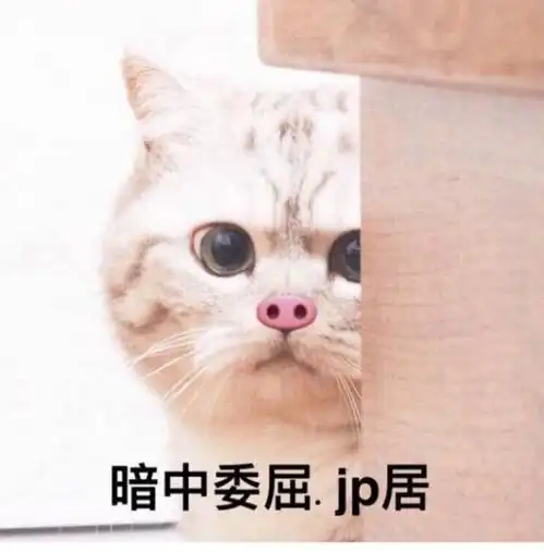 愚人节活动丨真实笑出猪叫一起变身猪猪在坦格拉美亚大陆上骗人吧