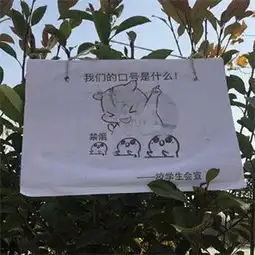 高校禁烟表情包大全高清无水印高校禁烟表情包搞笑经典