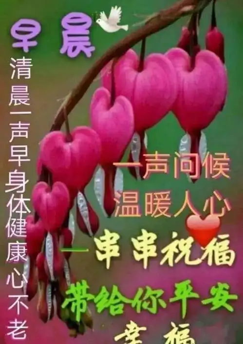 8月21日问候早上好图片带字动态表情早上好图片问候祝福语句子