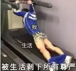 我不要你觉得我要我觉得你,值得长安汽车金秋盛典