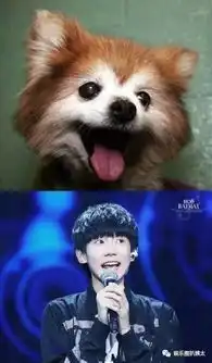 周冬雨吴亦凡的冷漠,鹿晗的微笑,杨洋的震惊,还有李易峰tfboys动物明星神撞脸,分分钟被玩坏