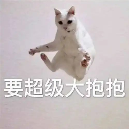 表情包嘿,我的小心肝