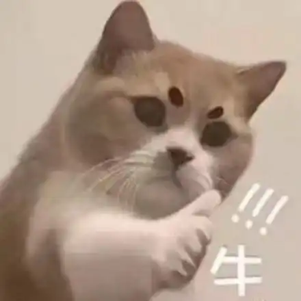 斗图表情包合集你这个卑鄙的美女