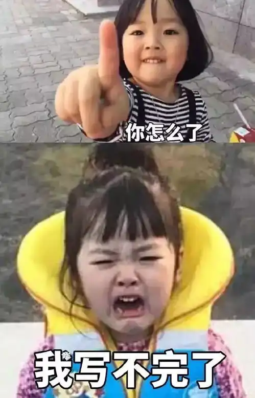表情包你们玩吧,我要写寒假作业