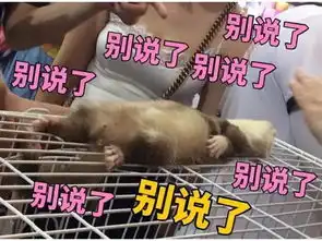 每日一笑有没有非常搞笑的斗图可以分享