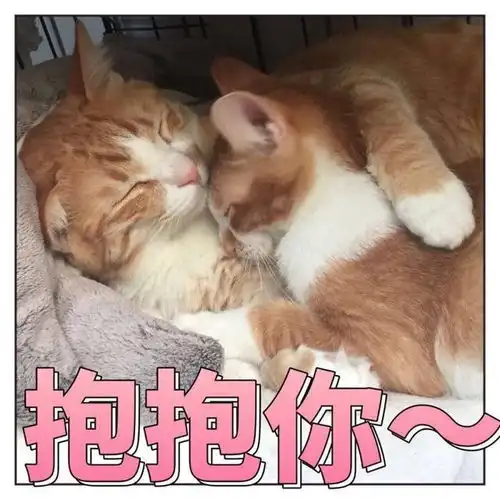 抱抱表情包嘘,别说话,吻我