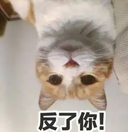 幽默笑话兄弟前后花了几万追ktv服务员,遭拒绝后,哥们说300