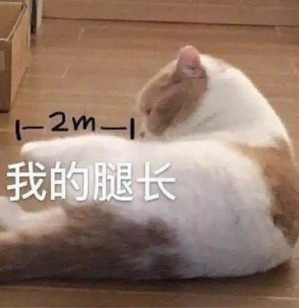 今天的表情包很可爱错过要哭