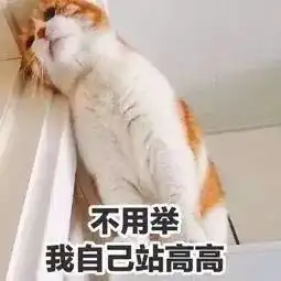 在佛山,胖子是要被宠的