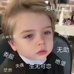 表情包不要勾引我了,我没钱